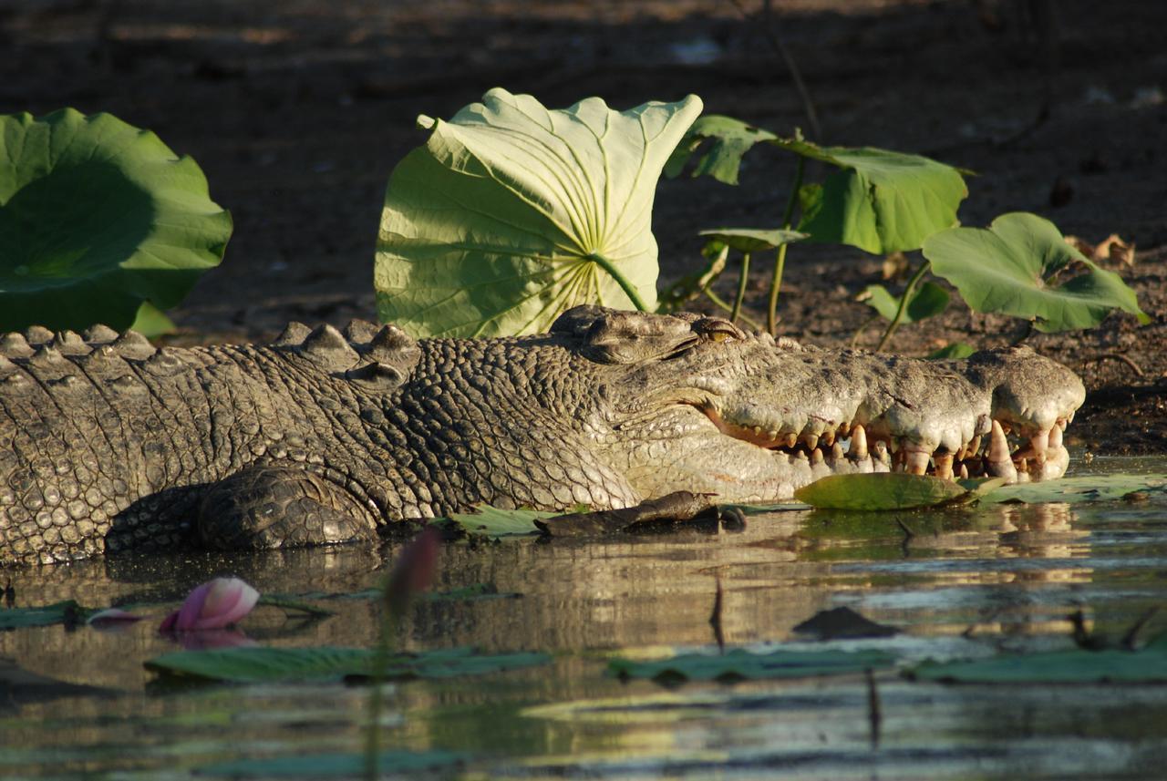Point Stuart Wilderness Lodge المظهر الخارجي الصورة